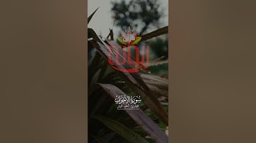 إن الله وملائكته يصلون على النبي. #أحمد_البشر #سورة_الأحزاب #ريحانة_قرآن #تلاوات #قرآن #تلاوات_خاشعة