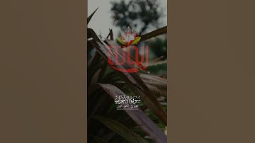 إن الله وملائكته يصلون على النبي. #أحمد_البشر #سورة_الأحزاب #ريحانة_قرآن #تلاوات #قرآن #تلاوات_خاشعة