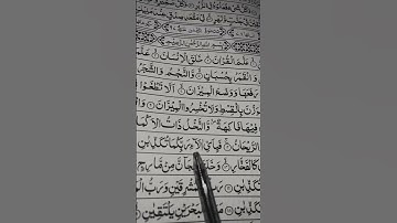 ✨📖 Holy Quran 📖✨القرآن الكريم | راحة نفسية للقلب 🕋❤️اللهم صلِّ وسلم على نبينا محمد ﷺ