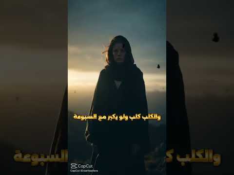 الديب ديب نيتو ديما كلب كلب وخا اعيش وصط السبوعة