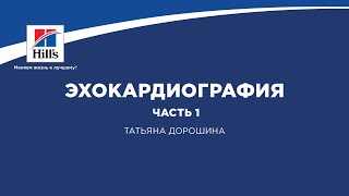 Вебинар на тему: «Эхокардиография. Часть 1». Лектор - Татьяна Дорошина