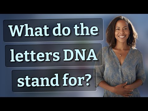 What Do The Letters Dna Stand For