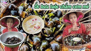 Ốc bưu luộc sả chấm cơm mẻ NGON XỈU | Huyền Phi Official