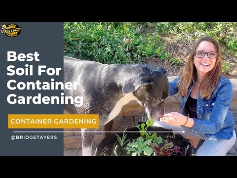 Best Soil for Container Gardening