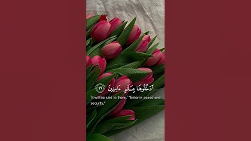 إن المتقين في جنات و عيون ادخلوهابسلام أمنين|| القارئ: شريف مصطفي