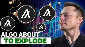 A HUGE WARNING! FROM ELON MUSK TO ALGORAND HOLDERS??