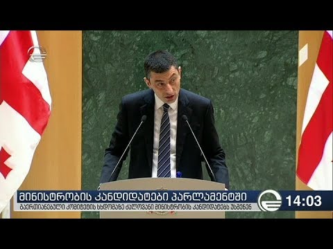 ძალოვანი უწყებების მინისტრობის კანდიდატების მთავარი აქცენტები