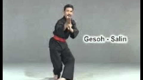 Seri Dasar Pencak Silat Garis Paksi  Sikap Pasang   YouTube