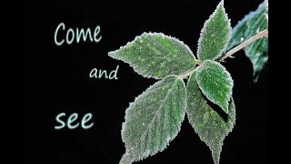 Lessons From Nature:  What Survives the Winter?