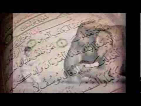 القارئ محمد عبد العزيز حصان سورة يوسف 