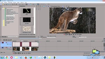 sony vegas : raining time (make it rain) rain effect