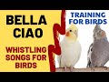 Bella Ciao Whistle - Whistling for Birds, Cockatiels, Parrots and Budgies
