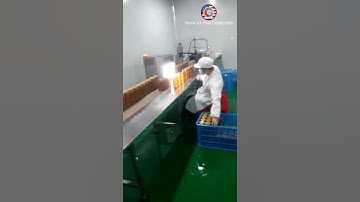 Honey jar bottle 4 nozzles filling machine automatic honey liquid filling bottling machine