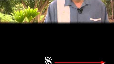 Uke Minutes 72 - Musical Direction II