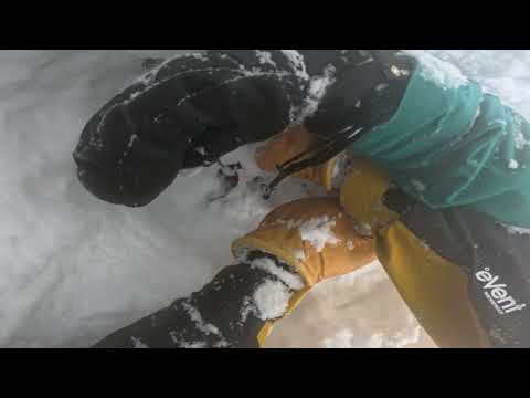 Tree well rescue at Mt. Baker (Original)