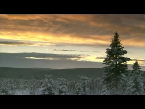 Video: Wo ist die Forstindustrie in Kanada?