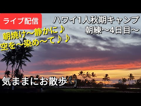 【ライブ配信】ハワイ1人秋季キャンプ🌋🌴🌊🌺🌈朝練〜4日目〜気ままにお散歩🚶‍♀️