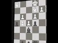 Bent Larsen vs Boris Spassky 🔥🙏#chess #chessgame #chessmatch #chesstactics #happychess