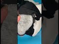 彼女のパンツ