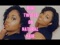 Mini Twists on Natural Hair | Cute Protective Styles | Type 4 Hair