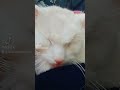 3omri Nri 3omri Nahc9 Fik Ana Ckon Ysalni 
