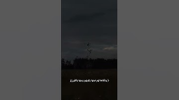 سورة يس القارئ محمد هشام||قرآن كريم #ترند #quran #القارئ_محمد_هشام #قرآن #اكسبلور #تلاوة_هادئة #fyp