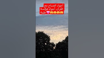 #قرآن_الصباح #اكتب_شي_توجر_عليه #المنشاوي #اذكار_الصباح #اكسبلور #صباح_الخير #اكسبلور #تصويري