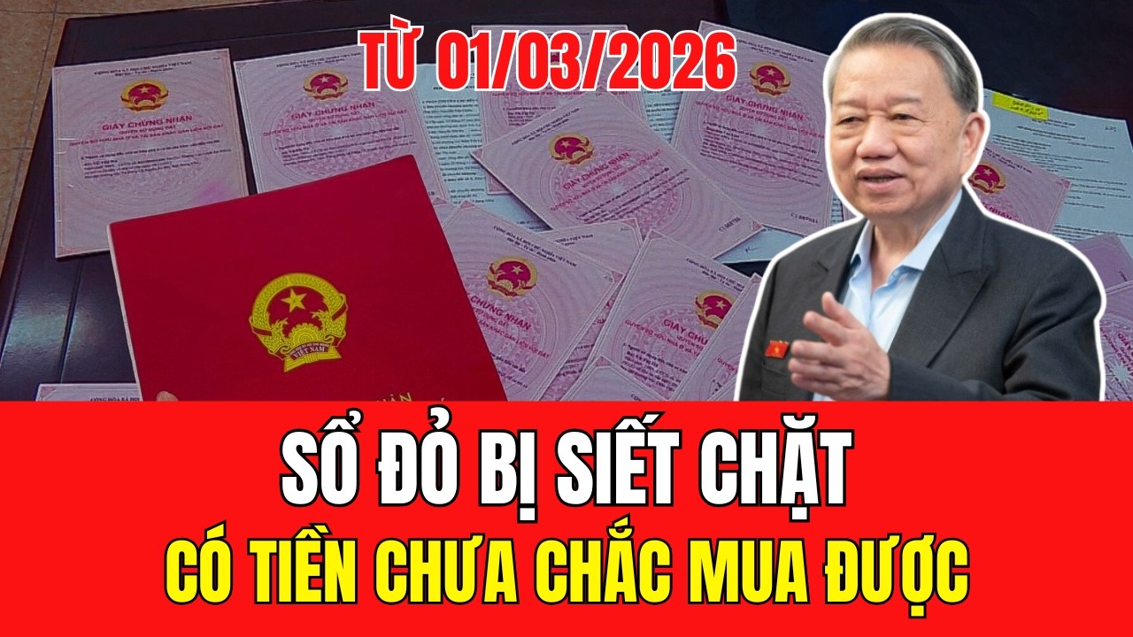 Tin Tức Việt Nam Mới Nhất 13/02/2026 ✈ Tin Nóng Trong Nước & Thế Giới 24h Qua