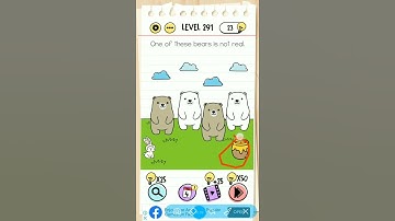braintest level 291||one of these bears  is not real||tricky puzzle