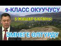 «Башы дарбыз сыяктуу жарылып»: 3 жаштагы бала камыштын арасынан жарым жан болуп табылган...