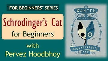 "For Beginners" Series | Lecture 6: Schrodinger’s Cat for Beginners