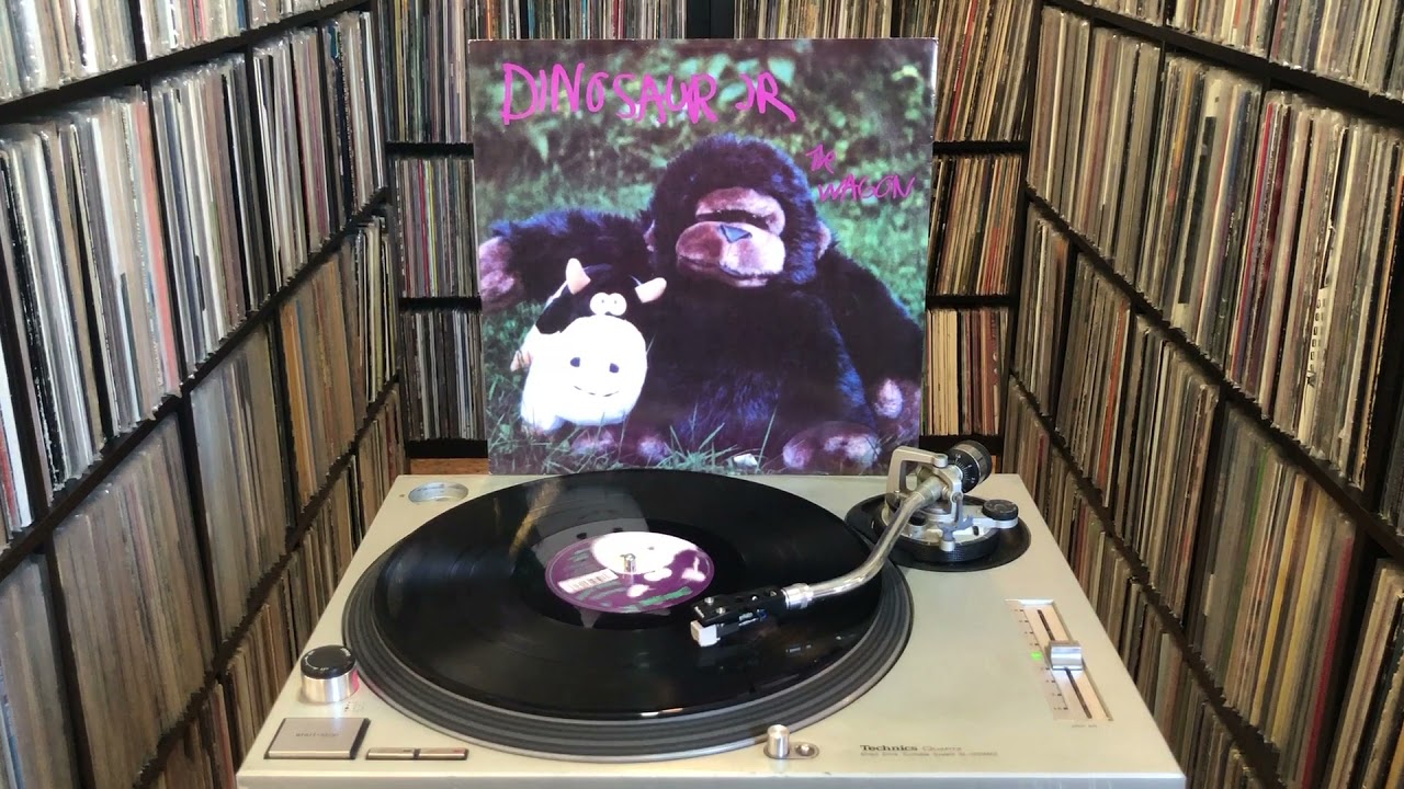 Dinosaur Jr ‎