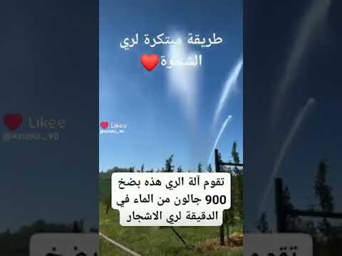 طريقة اقتصادية مبتكرة لري الشجرة ١