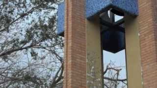 Hail Storm of March 29, 2012 - McAllen, Texas