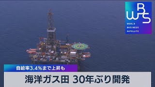 海洋ガス田 30年ぶり開発　自給率3.4％まで上昇も（2022年1月17日）