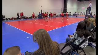 Celebrity Desiree Williams Update Season Highlights Class Of 2023 Net Worth