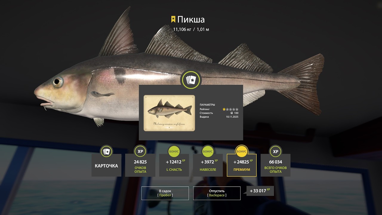 РУССКАЯ РЫБАЛКА 4. ПРОВЕРКА МЕДНОГО.