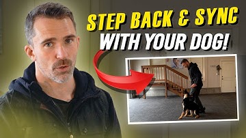 Easily Teach Your Dog The Backwards Slide in Heel Position!
