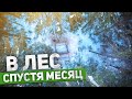 Изба в лесу | ЛЕСНОЙ ДОМ | ЗЕМЛЯНКА | ИЗБА | FOREST HOUSE | DUGOUT | HUT