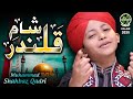 New kalaam 2020  sham e qalandar  muhammad shahbaz qadri  official  safa islamic