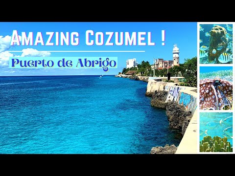 וִידֵאוֹ: הפארק הלאומי שוניות האי קוזומל (Parque Nacional Arrecifes de Cozumel) תיאור ותמונות - מקסיקו: האי קוזומל