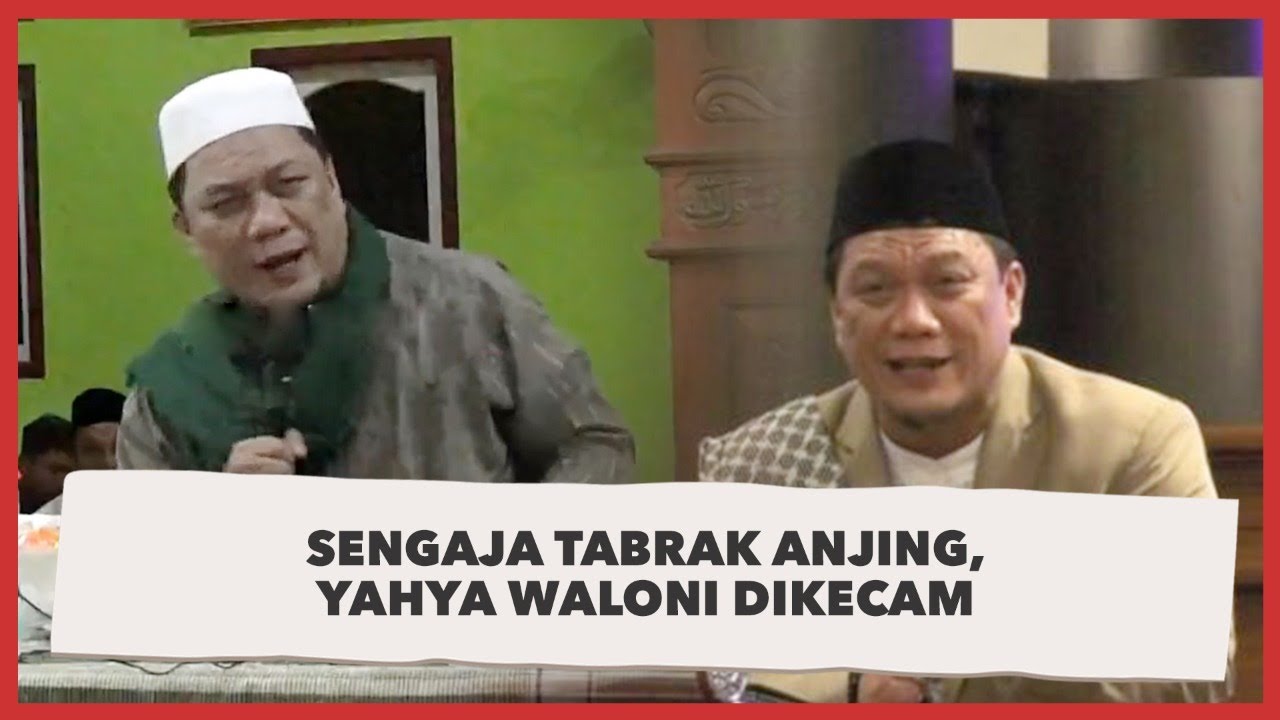 Ceramah Ustadz Yahya Waloni Sengaja Tabrak Anjing Sampai Pincang Dikecam Warganet Dan Ustadz Youtube