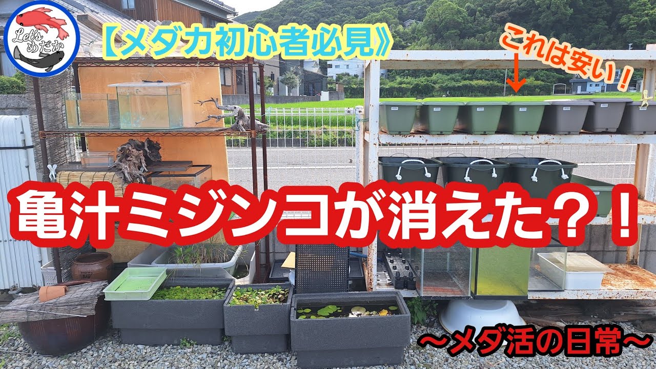 YouTube YouTube