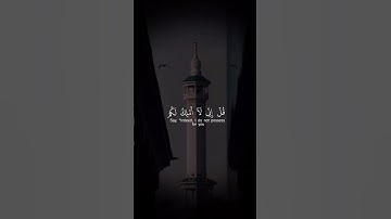 قرآن كريم | القارئ ياسر الزيلعي | حالات واتس اب دينية 📿🙏