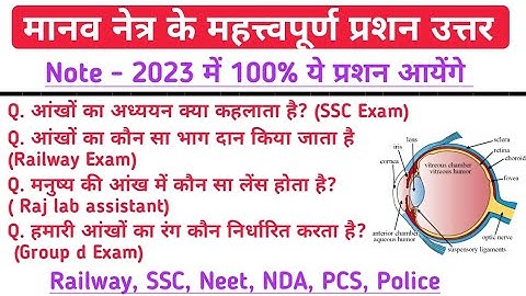Human Eye Important Questions | मानव नेत्र से संबंधित महत्वपूर्ण प्रश्न | Human Eyes Gk Questions