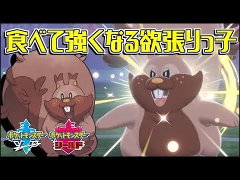 攻撃防御強化と回復を同時にやっちゃう欲張りなリスさん 全てのポケモンに輝きをシリーズ ヨクバリス編 ポケモン剣盾 ソードシールド Youtube