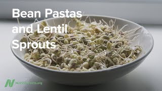 Bean Pastas and Lentil Sprouts