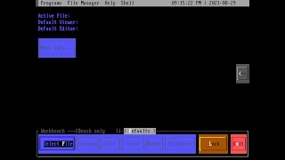 PsychDOS is a textmode desktop for DOS