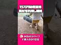 …廃材を再利用する#秘密基地 #ガレージライフ #diy #リフォーム #親子活動