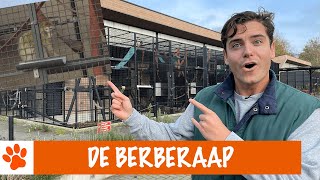 Download Lagu Born to be wild! | DierenpraatTV MP3 Download Lagu Born to be wild! | DierenpraatTV MP3